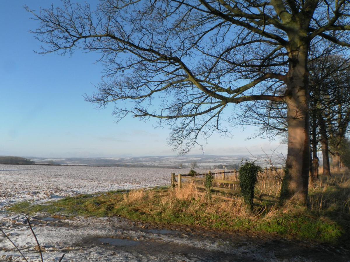 Little Byre Cottage Sutton  Buitenkant foto